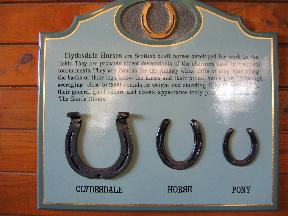 Clydesdale Horseshoe